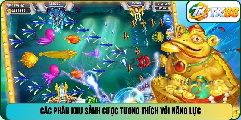 Các phân khu sảnh cược tương thích với năng lực