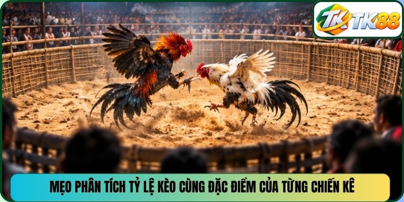 Mẹo phân tích tỷ lệ kèo cùng đặc điểm của từng chiến kê